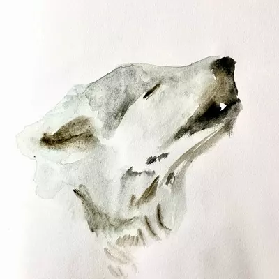 a watercolour illustration of a wolf howling 